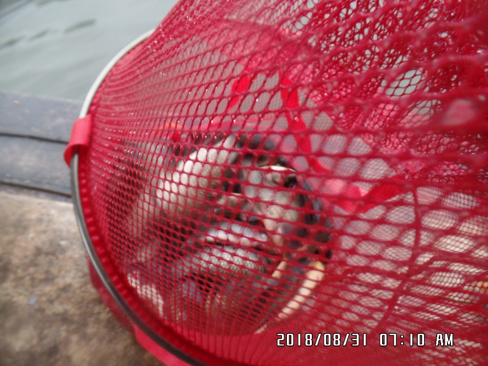 SAM_0425.JPG