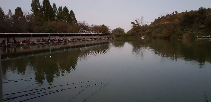 20180926_184600.jpg