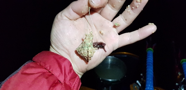 20181124_205233.jpg