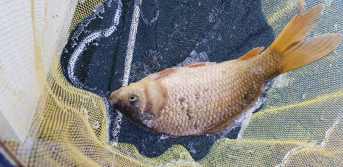 20190116_163229.jpg