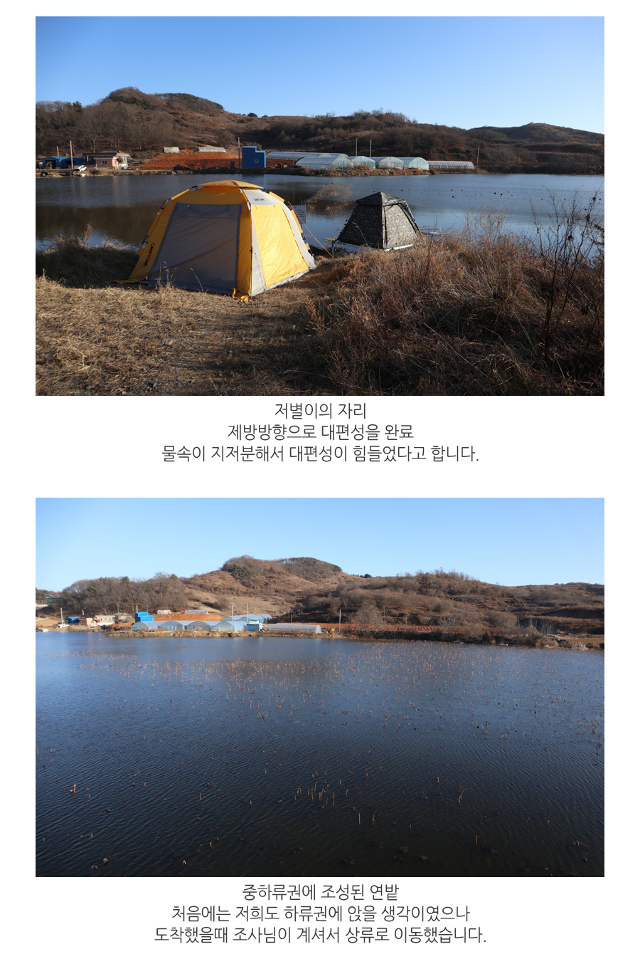 20190126_03.jpg