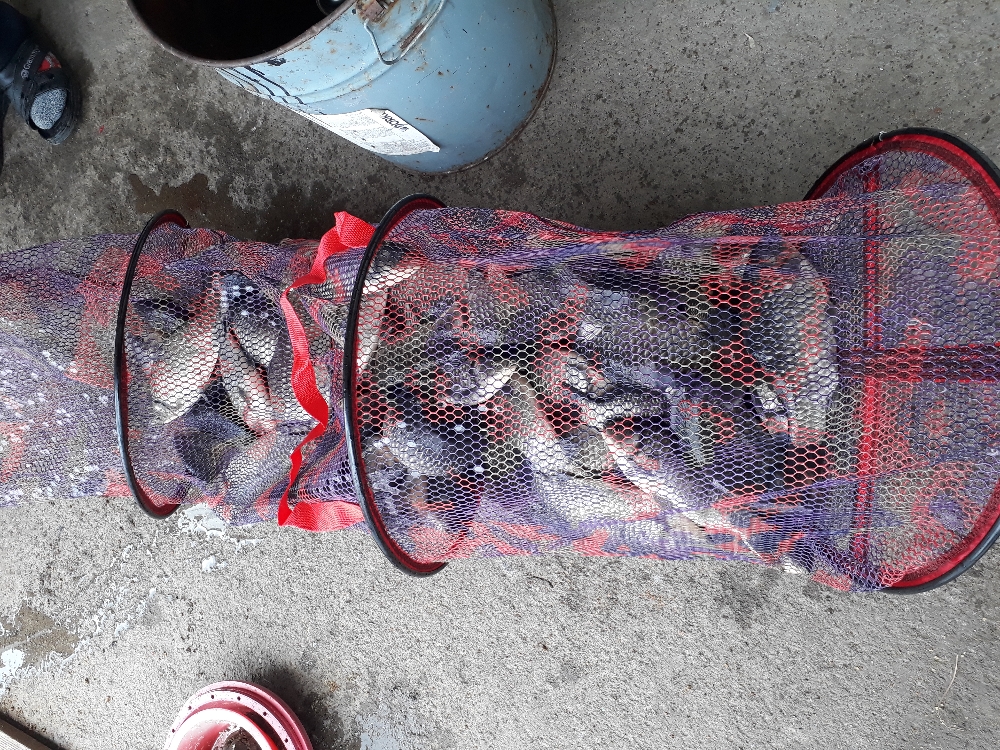 20190331_103531.jpg