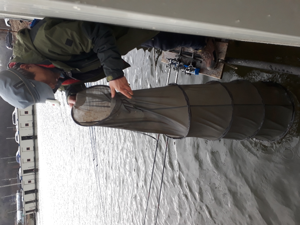 20190330_173315.jpg