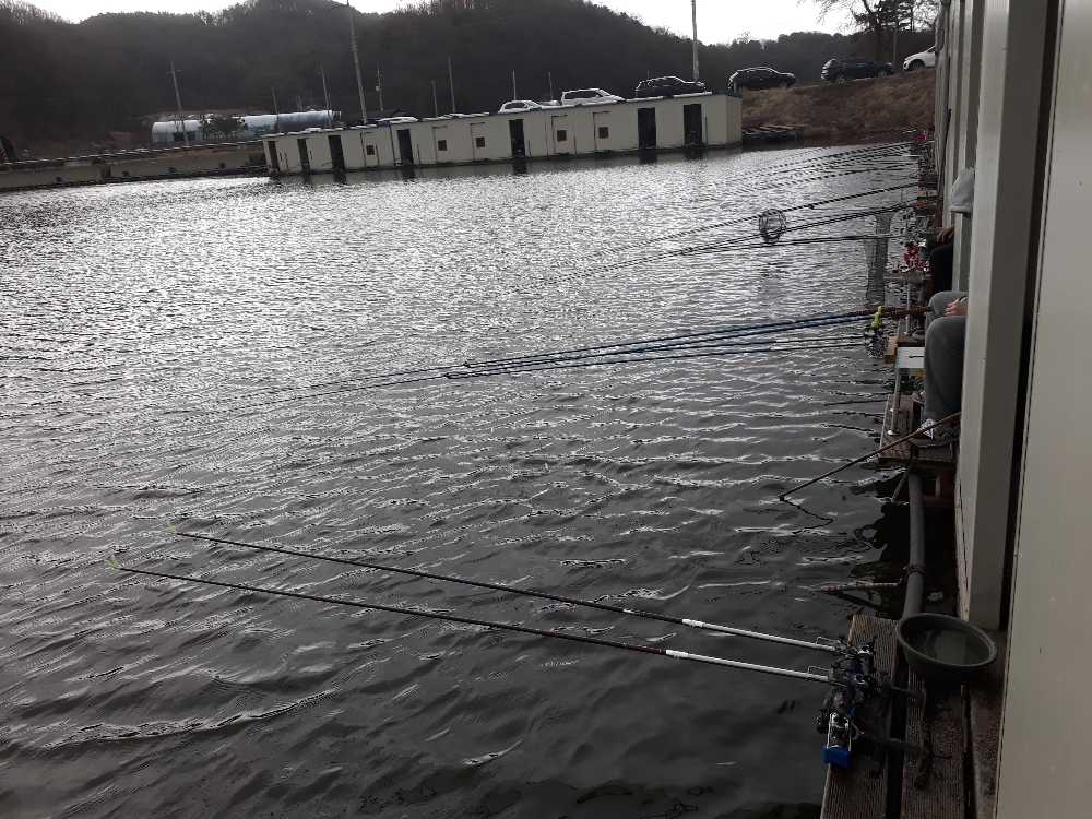 20190330_173358.jpg