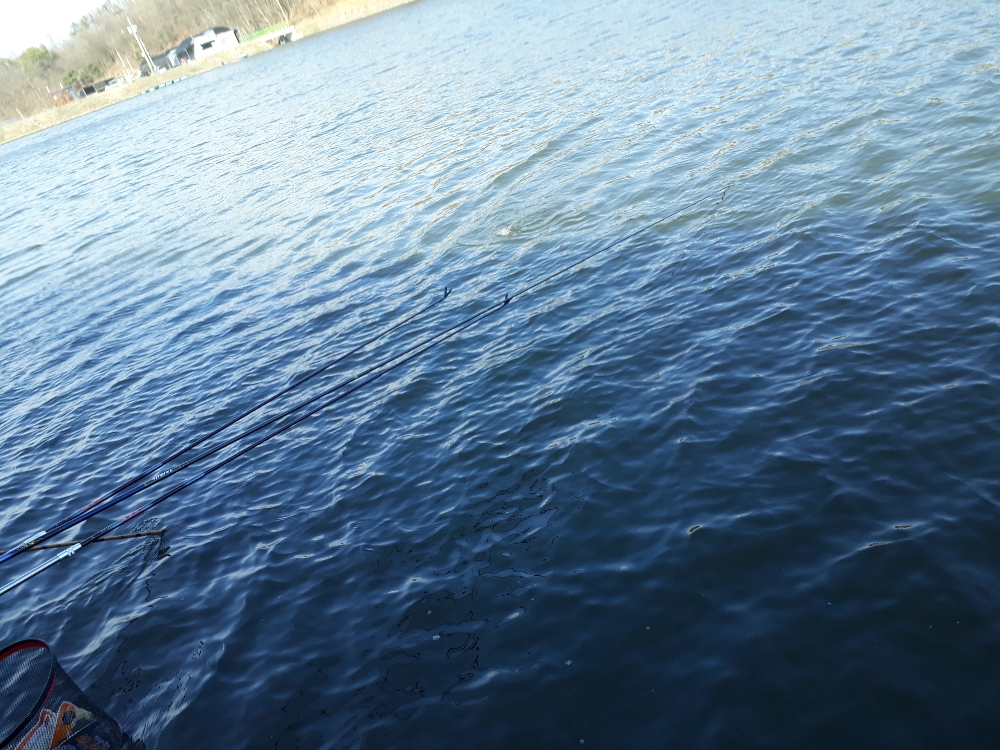 20190331_161910.jpg