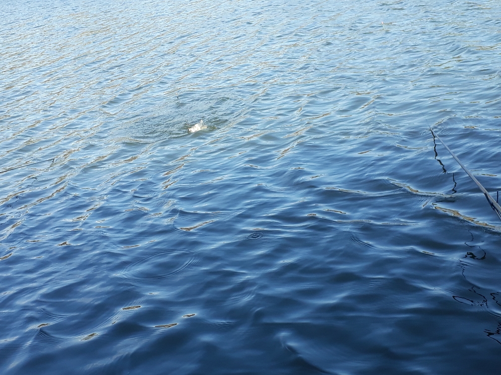 20190331_162035.jpg