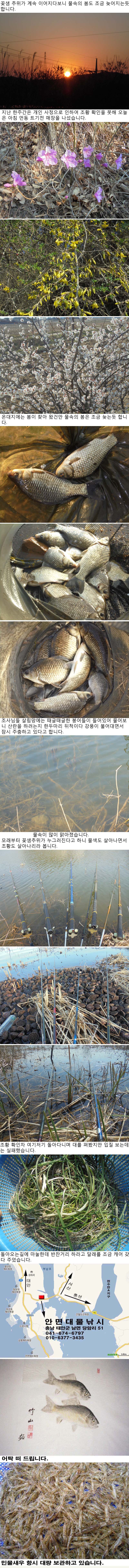 190401.jpg