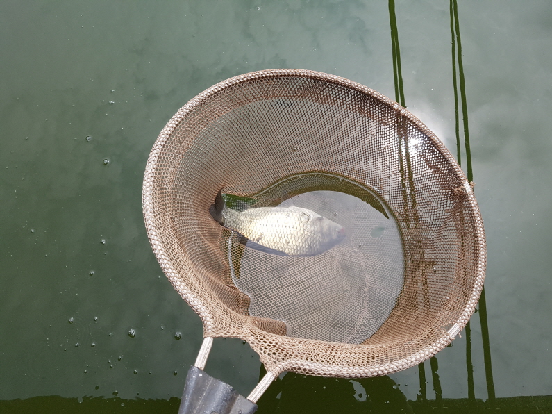 ũ⺯ȯ_20190421_135130.jpg