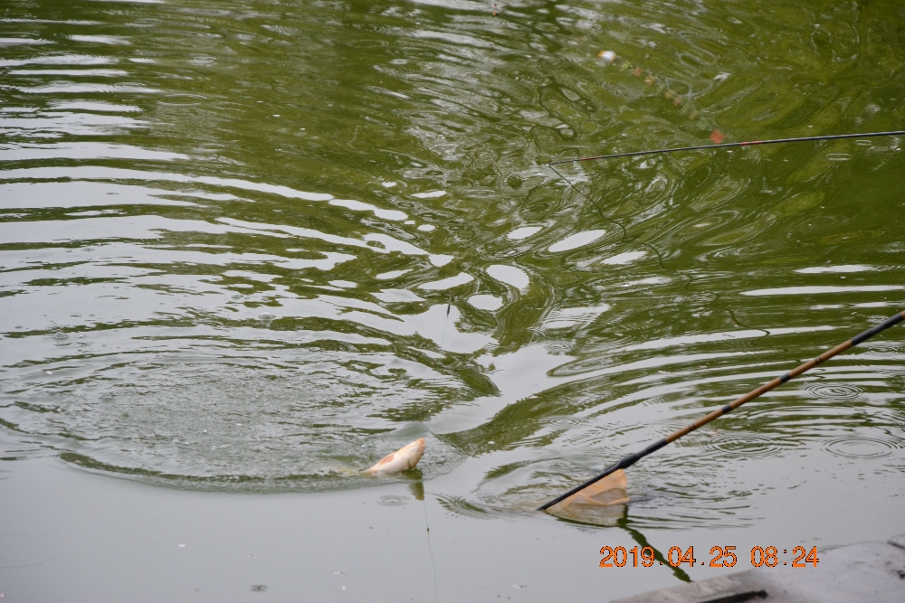 DSC_0035.JPG